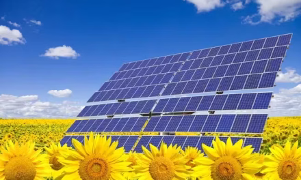 Energi Terbarukan Dan Digitalisasi Industri