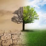 Isu Lingkungan Yang Menjadi Perhatian Di Era Modern