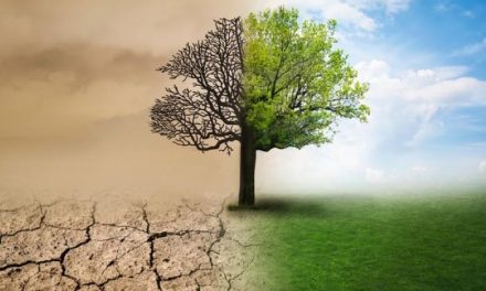 Isu Lingkungan Yang Menjadi Perhatian Di Era Modern