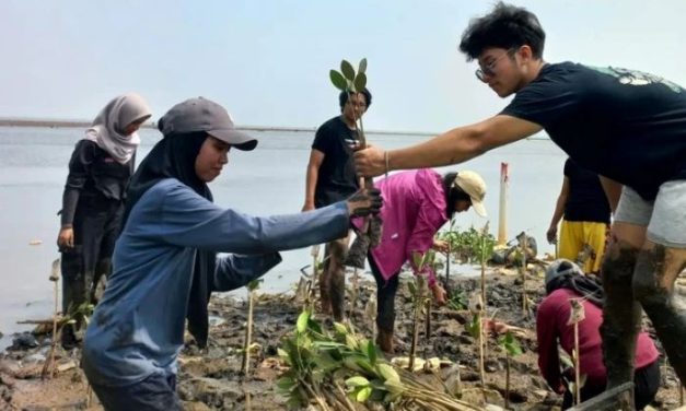 Tren Aktivitas Kreatif Yang Menarik Perhatian Generasi Muda