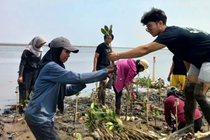 Tren Aktivitas Kreatif Yang Menarik Perhatian Generasi Muda