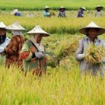 Aktivitas Ekonomi Masyarakat Mengalami Perubahan