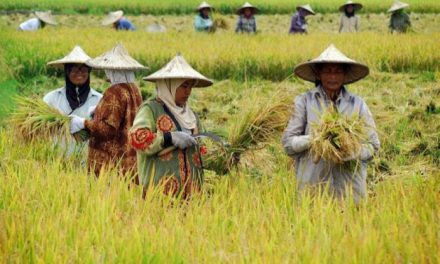Aktivitas Ekonomi Masyarakat Mengalami Perubahan