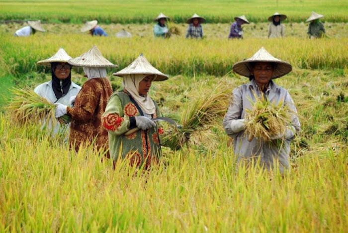 Aktivitas Ekonomi Masyarakat Mengalami Perubahan